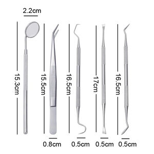Kit d'hygiène dentaire professionnel Outils de soins bucco-dentaires Ensemble d'examen dentaire en acier inoxydable - Product Image 3