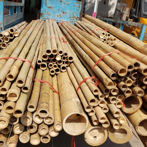 Postes de bambú amarillo de 10mm en paquetes-Precio al por mayor de bambú natural duradero de Vietnam para varios usos - Product Image 2