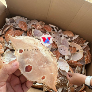 ผงเปลือกปูพรีเมี่ยมที่อุดมไปด้วยแร่ธาตุ - Product Image 6