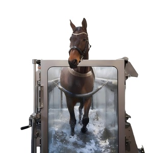 Meilleur prix Durable EUR VET Cheval Réhabilitation Hydrothérapie Tapis roulant Centre d'usinage vétérinaire Équipement pour animaux - Product Image 1