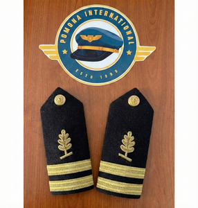Insignias de Hombro de Grado de Teniente de la Servicio Médico de la Armada de los Estados Unidos - Product Image 1