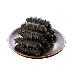 Pepino de Mar Seco de Primera Calidad, Sin Gluten, Sin Azúcar, Empaquetado a Granel, Procedente de Portugal - Product Image 5