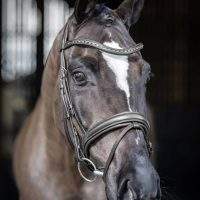 BRIDLE DRESSAGE NEGRO/PLATA - Product Image 6