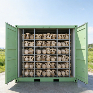 Ferme de culture de champignons à climat contrôlé avancé dans un conteneur maritime avec système HVAC haute performance et unité de contrôle précis du CO2 - Product Image 5