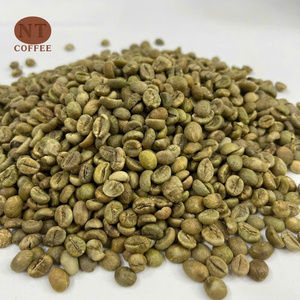 Origine du Vietnam grains de café Robusta récolte fraîche approvisionnement en vrac OEM/ODM emballage personnalisé offre concurrentielle - Product Image 1