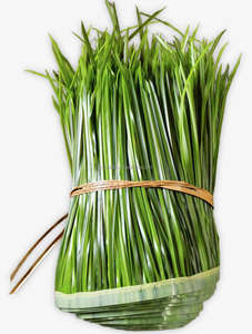 ที่คลุมหลังคาเทียมแบบม้วนสังเคราะห์ต้นทุนต่ำสำหรับกระท่อมเขตร้อนและศาลา - Product Image 5