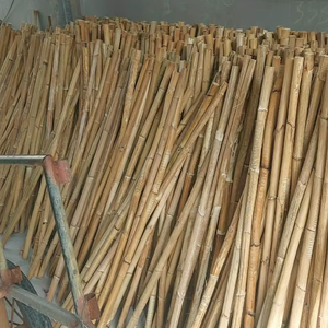 Producto Agrícola de Ratán Natural Premium de Vietnam 2023, EUTECH EUR052 para Muebles y Cestas - Product Image 1