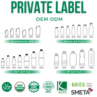 Prix de gros Boisson au jus de basilic pastèque 280ml (9.8 floz) Usine du Vietnam | Échantillon gratuit de sucre de marque privée