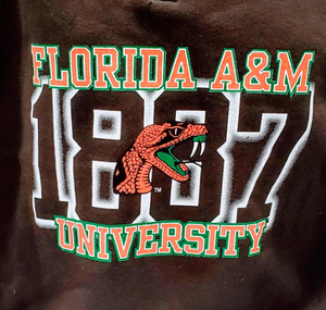 Sudadera con capucha de estilo Vintage FAMU Florida A & M de alta calidad personalizada para mujer diseño universitario bordado frente Tie Dye estampado de lana - Product Image 2