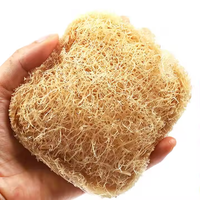 Spons Cuci Piring Ramah Lingkungan Multiguna Antibakteri dengan Gagang Kayu untuk Membersihkan Panci, Wajan, dan Peralatan Dapur yang Berkelanjutan