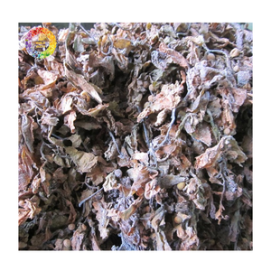 Poudre d'algues Sargassum en vrac et engrais d'algues vertes, poudre d'algues vertes pour les cultures, algues Sargassum en vrac - Product Image 5