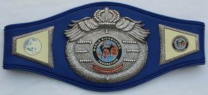 Wrestling Championship Belts Trophées Médailles et récompenses le symbole ultime de la victoire et de l'excellence Ceintures de championnat - Product Image 6