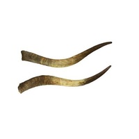 Corne de paire de taureau noir et de vache avec poli pour décoration murale d'hôtel et de chambre, utilisation avec prix bon marché, taille personnalisée, corne de paire de buffle