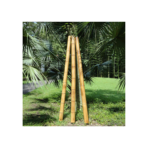 Tube de poteaux en bambou/matériaux Tube de poteau en bambou d'usine du Vietnam de haute qualité avec taille personnalisée - Product Image 2