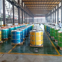 Harga terbaik Q195 Dx51d Dx52D Dx53D warna dicetak kumparan galvanis PPGI