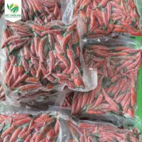 Vente en gros PHU-2024 de légumes surgelés piment frais IQF piment rouge congelé/piment congelé du Viet Nam