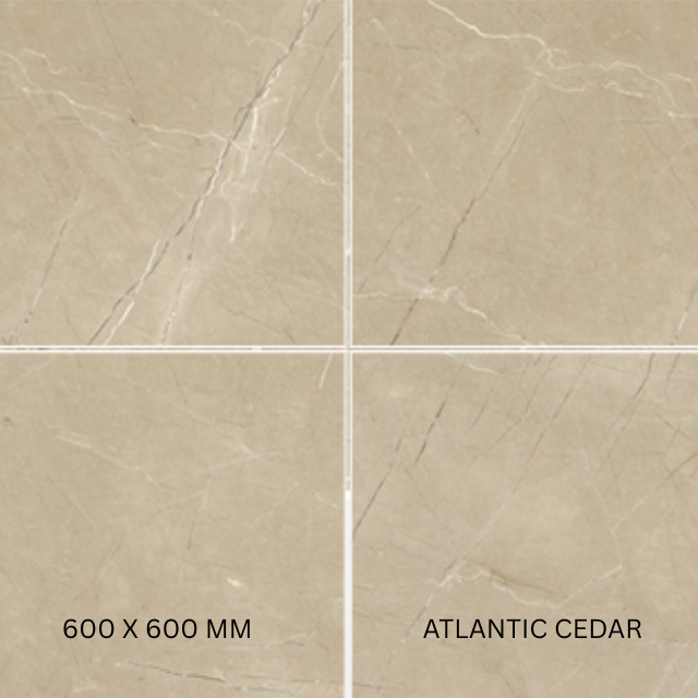 สีดำสีกากี