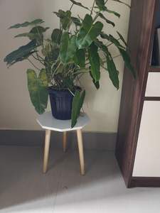 Carved Wood <b>Stool</b> Antique Finish Accent Table Wooden Furniture Flower Vase For Home Decoration - Product Image 5