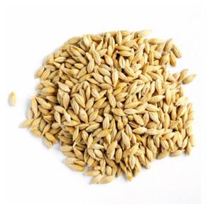 Alimento animal de cebada de grano crudo natural - Product Image 6