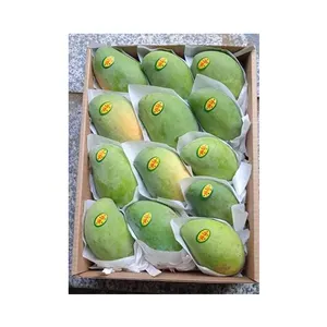 Best Selling Premium Fresh Mango Yellow Mango Low Price Fresh Mango Fruit from Egypt