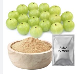 Poudre d'Amla biologique provenant d'un fabricant indien, de la meilleure qualité, fournie par des fournisseurs de poudre d'Amla - Product Image 3