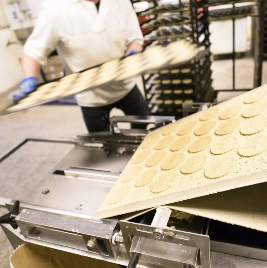 Wooleys paket katering dengan 12 karton x 20 paket biskuit buatan tangan untuk resturbibi UK makanan ringan grosiran