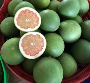 What Is NIFT Gift? Unique Citrus Fruit Gifts from Vietnam