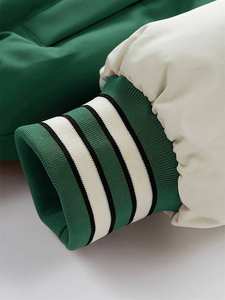 Vente en gros d'hiver broderie personnalisée chaud hiver grande taille coupe-vent à capuche hommes doudoune épaisse beau bombardier veste - Product Image 4