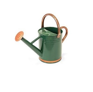Vente en gros de bidons d'eau de luxe les plus vendus en métal de qualité supérieure (acier, fer) conception de fleurs florales personnalisées intérieur galvanisé - Product Image 5