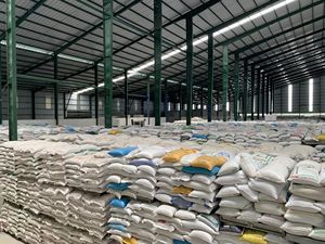 JASMIN RICE BON PRIX QUALITÉ SUPÉRIEURE VERS MOYEN-ORIENT ÉMIRATS ARABIE SAOUDITE QUALITÉ D'EMBALLAGE OEM QUALITÉ D'EXPORTATION - Product Image 5