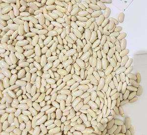 Haricots blancs à vendre de Suède - Product Image 1