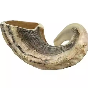 Corne de béliers à moitié polie naturelle authentique Shofar par Crescent Crafts Sheep Shofar Corne musicale Cadeau juif pour femmes et hommes - Product Image 2