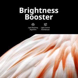 Paquete de Televisor OLED Inteligente de 83 Pulgadas con 4K HDR, Frecuencia de Actualización de 120 Hz, Protección de Cables y Kit de Transmisión - Product Image 5