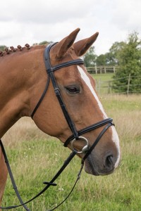 2018 venta al por mayor de alta calidad diamante caballo brida de cuero única para caballos Venta caliente - Product Image 6