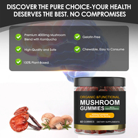 Hearns OEM Gummies aux champignons naturels Cordyceps Reishi pour la santé cérébrale, la mémoire et le soutien immunitaire – Complément alimentaire à base de plantes pour adultes certifié GMP