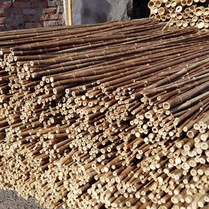 Wholesale <b>Bamboo</b> Cane Pole Stakes Best Selling Natural Pole Stake Garden Agriculture Farming Products - Product Image 4