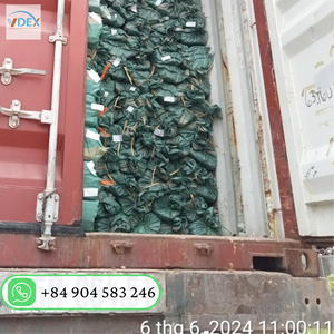 Manche de balai en bois recouvert de PVC de 120cm du Vietnam prix bon marché - Product Image 4