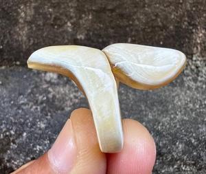 Anillo de Cuerno de Búfalo Vintage de Alta Calidad de F S INTERNATIONAL para Compromiso o Regalo de Boda a Precio de Mayoreo desde India - Product Image 2