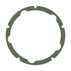 Forro de Fricción ZF13LF1 para ZF VA; 6HP21 F1 (Fabor) - Product Image 1