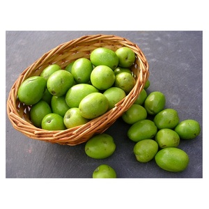 มะกอกสดคุณภาพดีที่สุด ราคาขายส่งสุดคุ้ม - Product Image 4