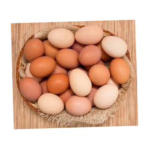MEJOR calidad Huevos de gallina marrón Venta al por mayor Alto fabricante nuevo Mejor material Con tarifa barata - Product Image 5