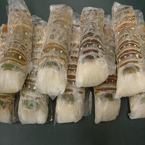 BQF กระบวนการแช่แข็งในกระป๋อง (กระป๋อง) กุ้งมังกรสีน้ำเงิน (อาหารทะเล) - Product Image 2