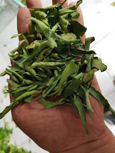 Feuilles de myrte de citron séchées écrasées, café frais, feuilles de citron vert, ANGLE - Product Image 6