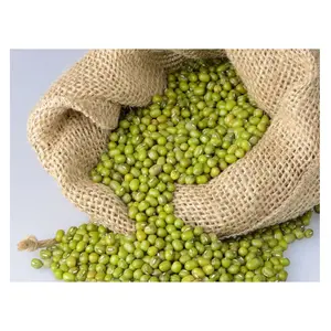 Approvisionnement direct moong dal 3.8mm grande taille vigna haricots mungo dal germination haricots mungo verts en vrac frais Stock disponible pour les exportations