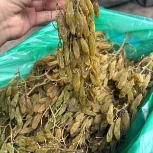 Uvas Pasas Secas Naturales Vietnamitas de Alta Calidad, Color Marrón Oscuro Brillante, Ingredientes para Repostería, Uso en Aperitivos y Confitería - Product Image 5