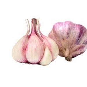 Vente en gros d'ail frais naturel au meilleur prix - Product Image 3