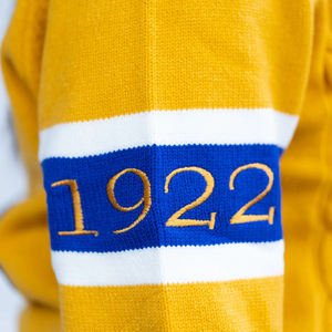 Suéter cárdigan Sigma Gamma Rho con colores personalizados y suéter de punto bordado para hermandad de mujeres College Varsity Sweater - Product Image 5