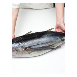 Acheter du thon congelé/frais de qualité à vendre - Product Image 3