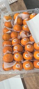Naranja Naval Fresca de Nueva Cosecha, Naranja Dulce, Mandarina Fresca - Product Image 5