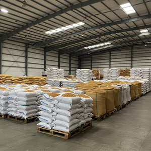 Premium Organic Raw Bulk Cashew <b>Nut</b> High Quality Dried HACCP Certified 25kg/bag Available for Wholesale Natural Flavor Crunch - Product Image 4